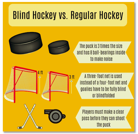 Blind Hockey vs Regular Hockey