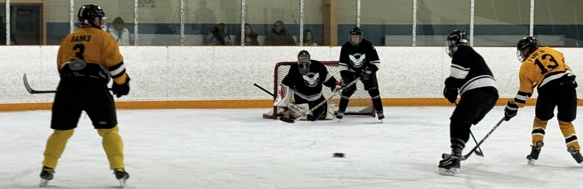 Ice Owls playing hockey